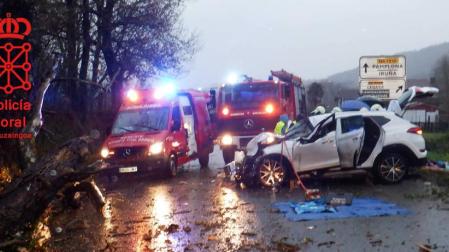 Heridas madre e hija al caer un árbol en un coche en Narbarte