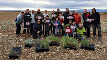 Reforestación en el entorno de la balsa del Pulgue