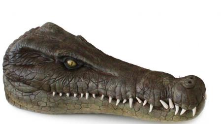Hallado en Galve (Teruel) un cocodrilo acuático de hace 125 millones de años