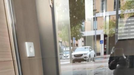 Pamplona: 600 desratizaciones cada año