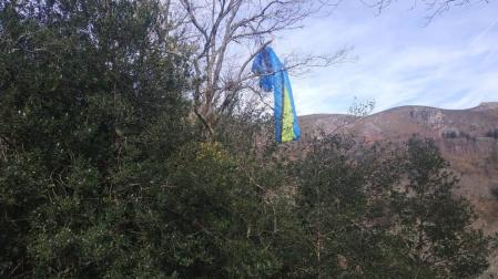 La tela del parapente, enganchada en las ramas del árbol.