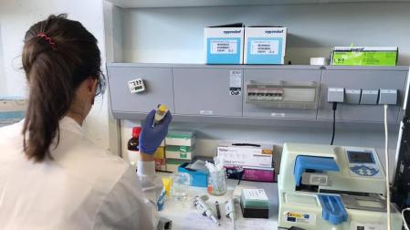Los científicos lamentan la "incertidumbre" e "inestabilidad" en 2019