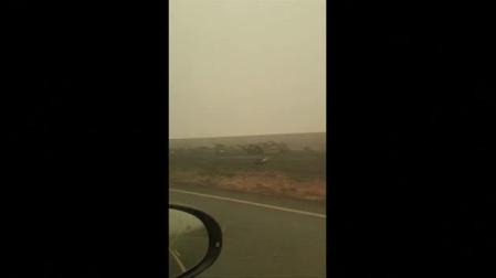 Los incendios en Australia dejan 500 millones de animales muertos