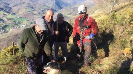 Los bomberos rescatan a dos perros que habían caído en sendas simas