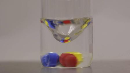 Una alumna de máster gana el concurso de foto sobre ciencia y tecnología de la UPNA
