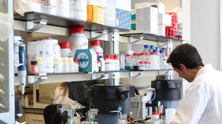 El CNTA destina más de 2,5 millones a proyectos de investigación