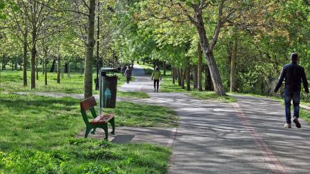 Pamplona planta este año 480 árboles hasta sumar 60.000 ejemplares