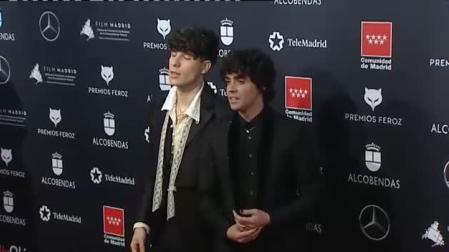 Desfile de estrellas en la alfombra roja de los Premios Feroz 2020