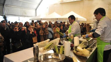 Impulso al cardo, el rey del invierno