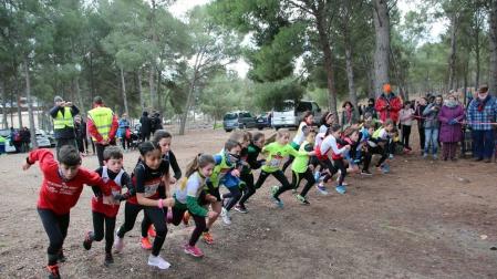 Todas las fotos de los participantes en el campeonato navarro de cross de relevos mixtos en Tudela