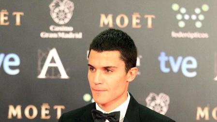 Alfombra roja de los Premios Goya 2014.