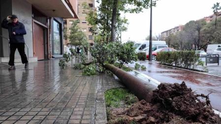 Todas las fotos de incidentes causados por el temporal Gloria en España