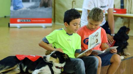 Los colegios navarros tienen una semana para entrar o salir del PAI