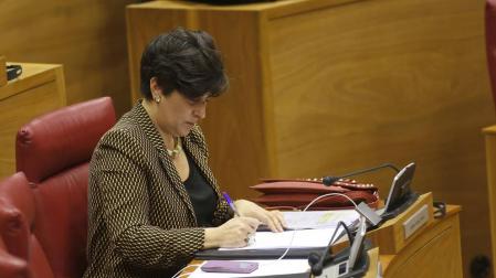La consejera María Solana toma notas durante un pleno del Parlamento.
