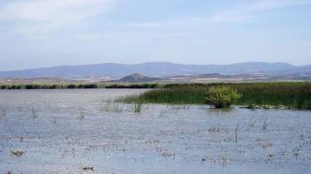 Laguna de Pitillas
