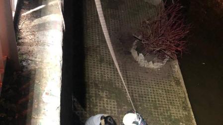 Momento en el que los bomberos preparan al perro para ser izado de los fosos