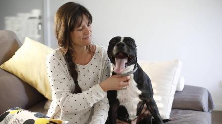 Bombón, un perro que es un bombón