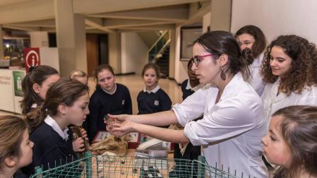 Una alumna de Biología explica a los alumnos de Irabia-Izaga cómo recoger muestras de animales en la jornada Women for Sciencia and Technology en 2017.