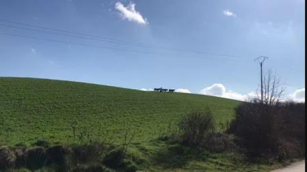 Vídeo: Se escapan tres vacas del matadero de Salinas