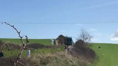Captura de dos de las vacas escapadas de un matadero de Salinas