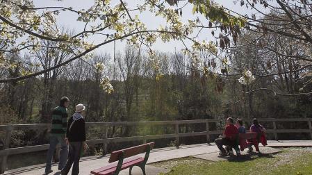 Jueves Santo con tiempo soleado y temperaturas altas en toda Navarra