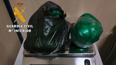 Incautan plantas de coca y potenciadores sexuales en el aeropuerto de Noain