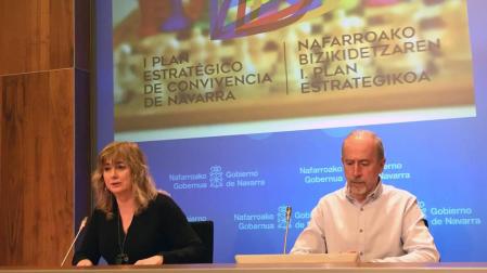 Un plan estratégico diseñará una convivencia en igualdad y libertad