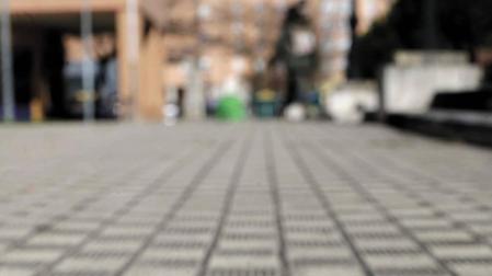 ¿Devolvería una cartera con dinero en su interior?