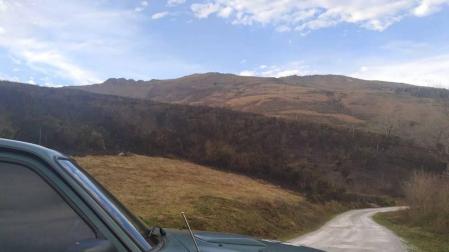 Zona en la que se ha producido el incendio en Dantxarinea