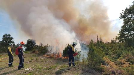 Los bomberos intervinieron en 1.436 incendios de vegetación en 2019