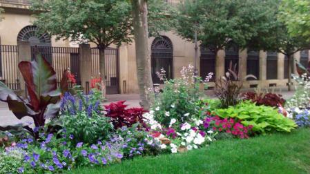 300 plantas de Pamplona dañadas durante los Sanfermines
