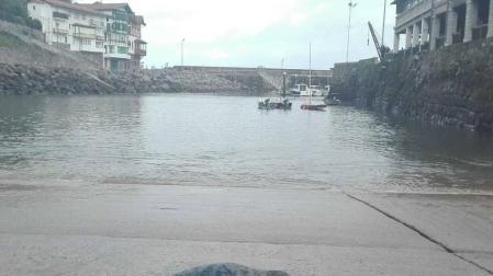 Avistan una foca que intentaba descansar en el puerto guipuzcoano de Mutriku
