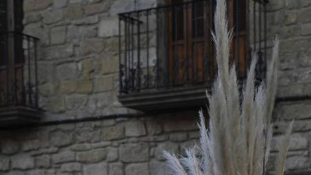 Galería de fotos del Carnaval celebrado el sábado 22 de febrero en Olite