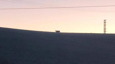 La vaca, en los campos cercanos a Salinas.