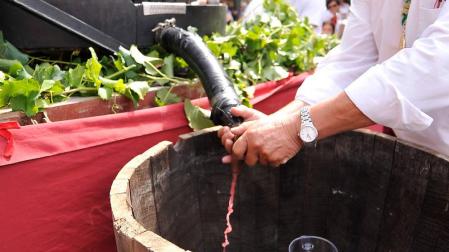 La Fiesta de la Vendimia ensalzará en Olite desde mañana el vino navarro