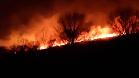 Activos 15 incendios forestales en doce municipios de Cantabria