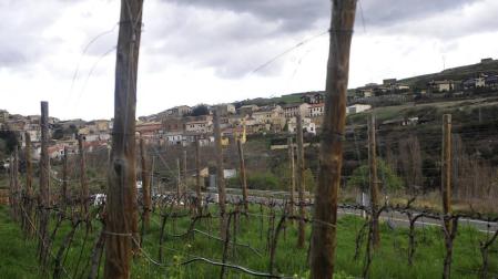 San Martín de Unx busca paliar la falta de relevo entre los viticultores