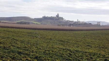 Villanueva aboga en Artajona por "ahondar en nuevos modelos de cooperativismo"
