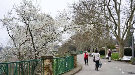 La primavera se prevé 'moderada' para los alérgicos al polen, a expensas del tiempo