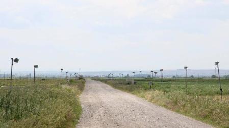 Un campo con riesgo por aspersión en Villafranca