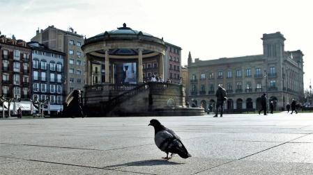 Una paloma, delante del kiosko de la Plaza del Castillo.