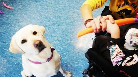 Uno de los perros de la asociación Biak Bat que participan en la terapia.