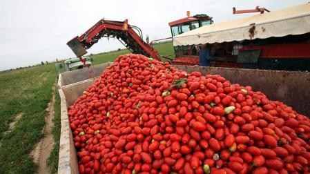 Prorrogado el plazo para solicitar las ayudas de la PAC 2016