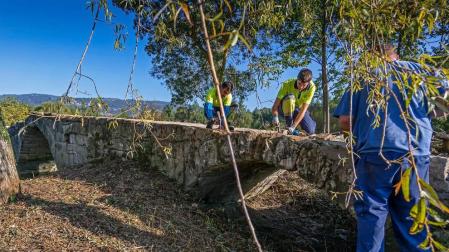 Puente románico del siglo XII sobre el río Ubagua, en Riezu. Los trabajos lo han despejado de maleza  y malas hierbas además de consolidar algunas piedras.