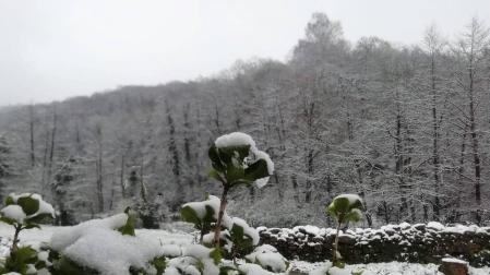 Imágenes de las distintas localidades de Navarra que amanecieron nevadas este martes, 31 de marzo de 2020.