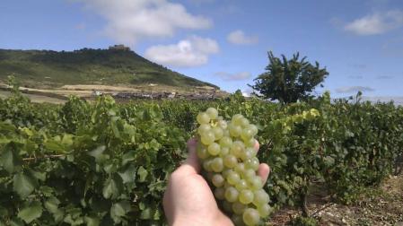 Bodegas Castillo Monjardin