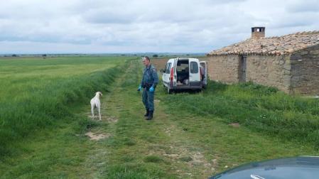 Patrulla de la Guardia Civil con el perro y el vehículo del cazador.