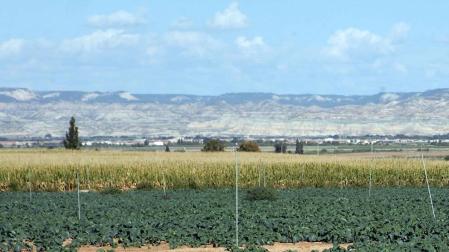 Se reabre el coto tras el acuerdo entre cazadores y agricultores