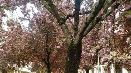 Fotos de la primavera enviadas por los lectores de diariodenavarra.es