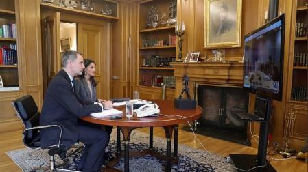 Los Reyes, en una videoconferencia con la OMS.